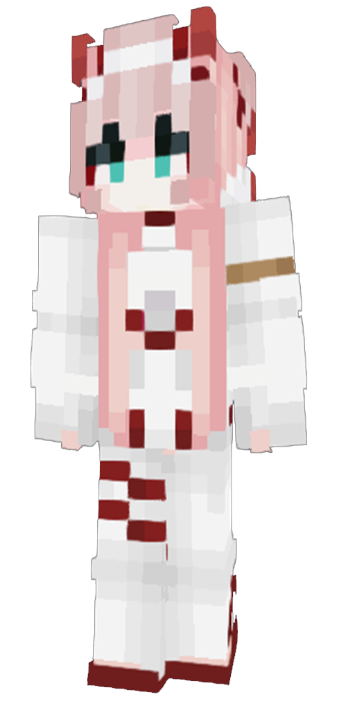 Minecraft person